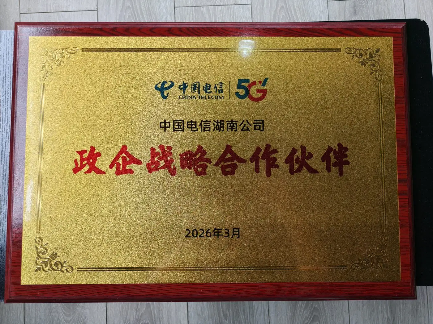 牌匾_中国电信政企战略合作伙伴