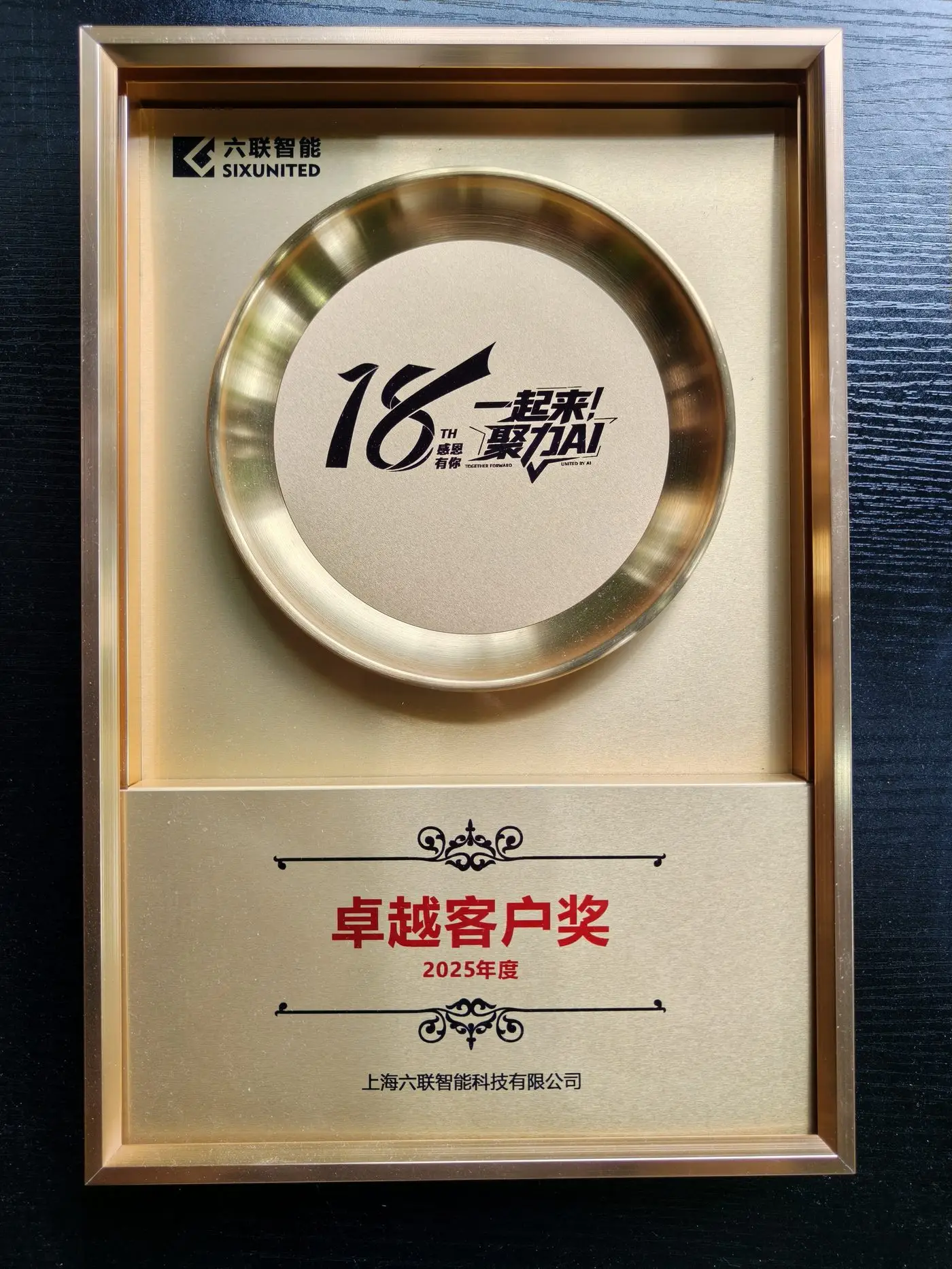 牌匾_卓越用户奖